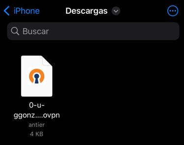 Archivo .ovpn